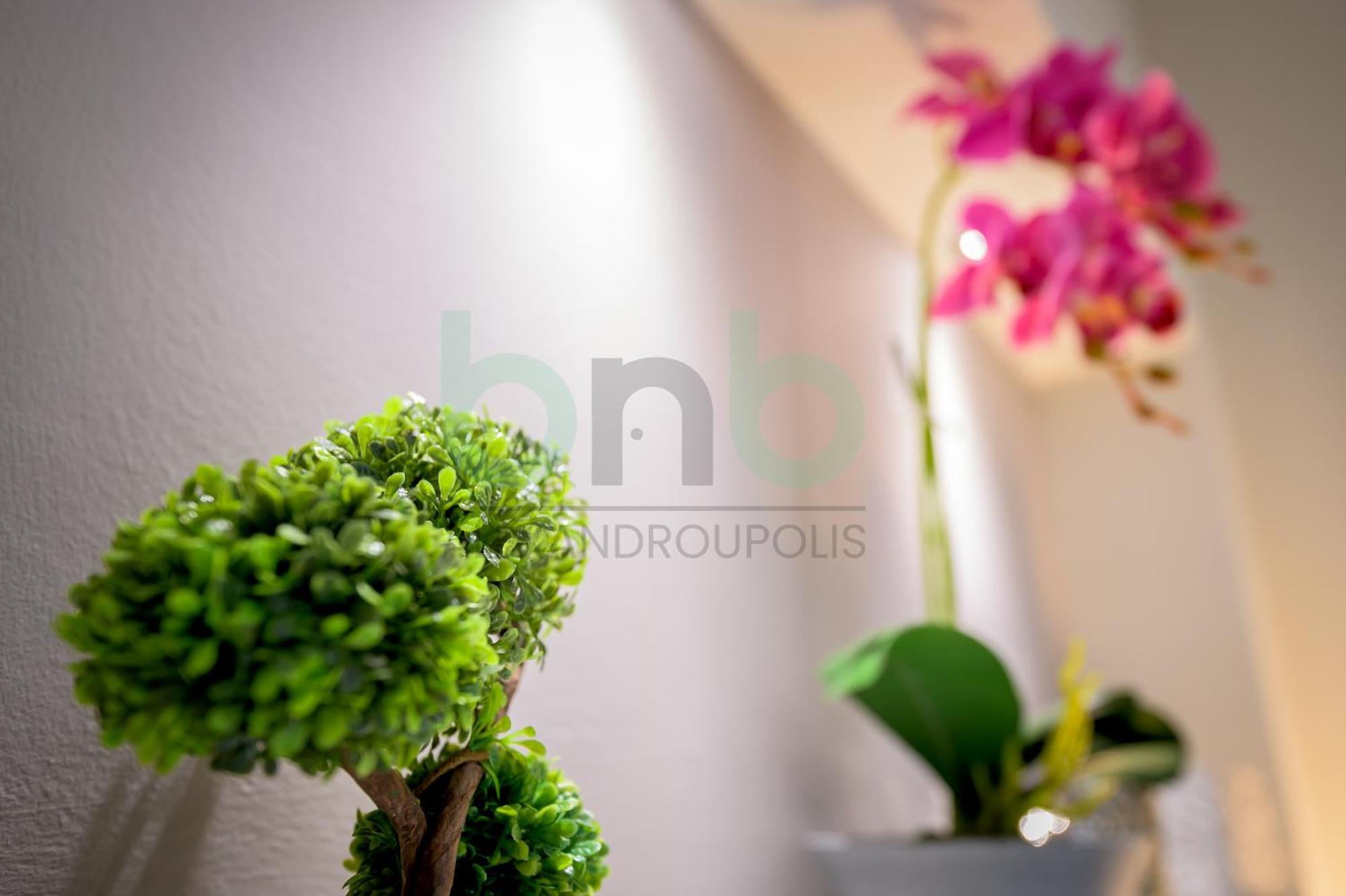 The Floral Suite Alexandrúpoli Kültér fotó